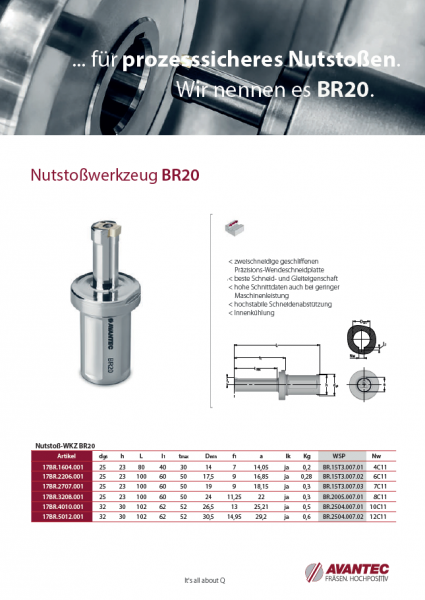 Nutstosswerkzeug BR20 DE